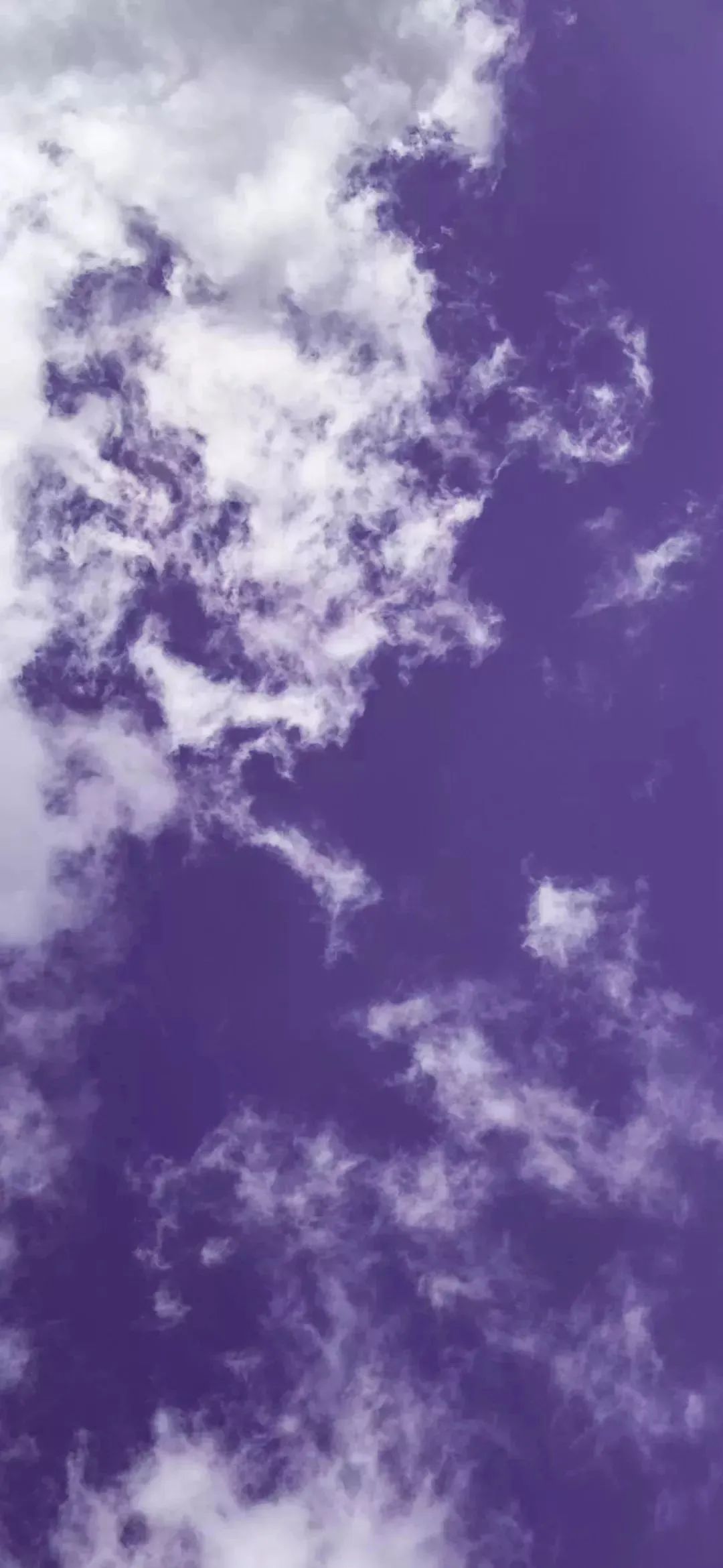 谷爱凌图片高清壁纸,周杰伦图片高清壁纸