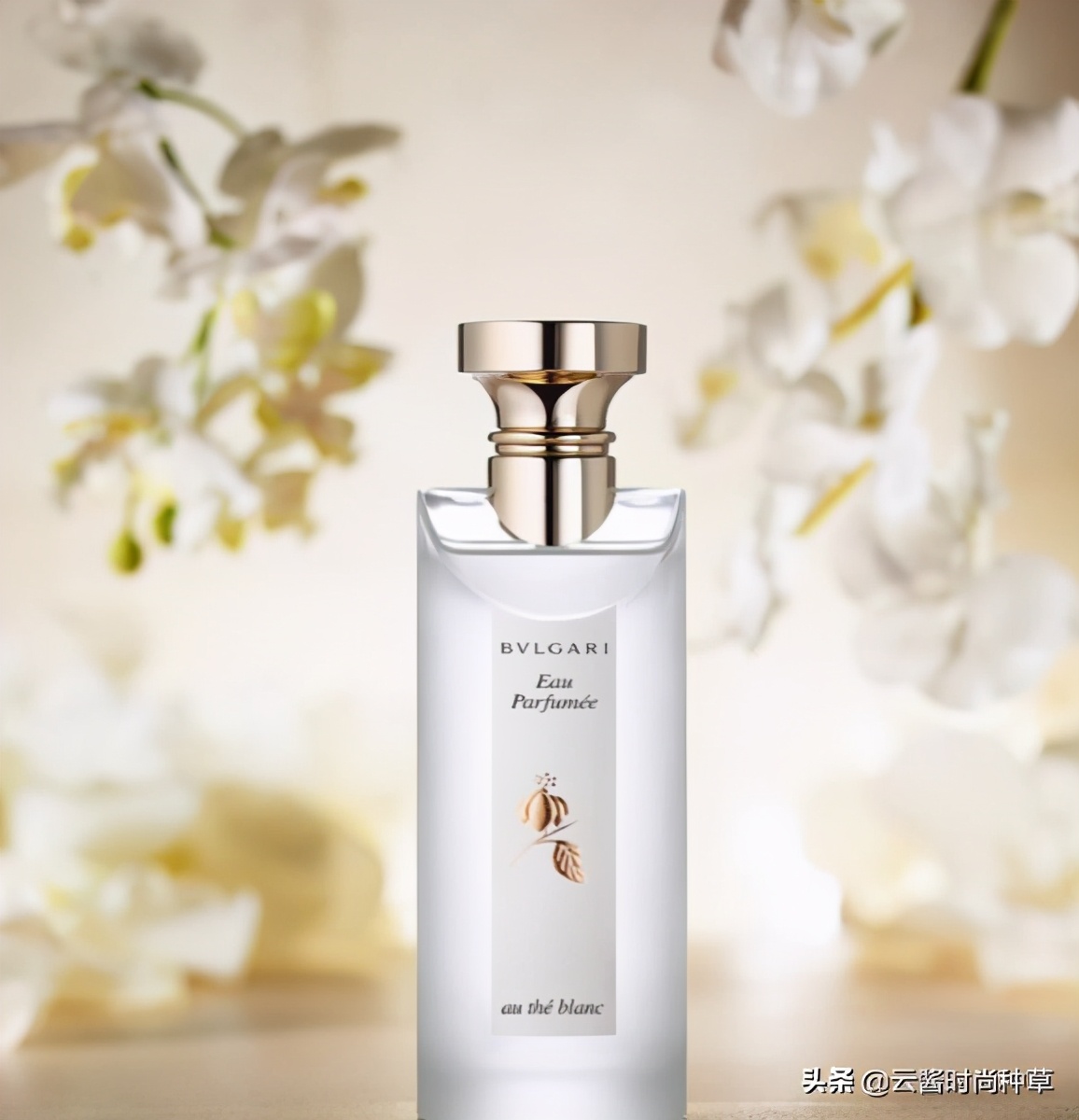 适合女生清新脱俗的大牌香水,高端适合知性优雅气质女性的香水