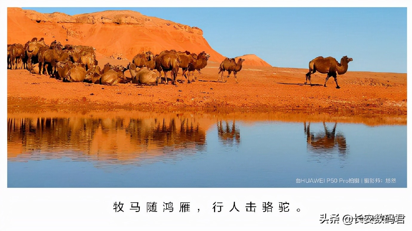 华为p50性价比较高的机型,华为p50系列旗舰智能手机