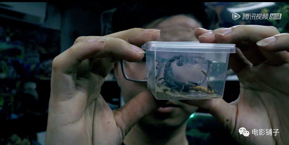 如此「变态」的欲望，这届有钱人真猛