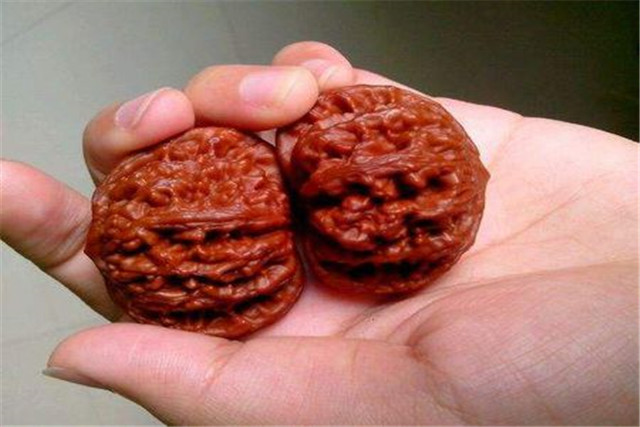 注意“四要”，做到“八玩、八怕”，你也能盘好野核桃