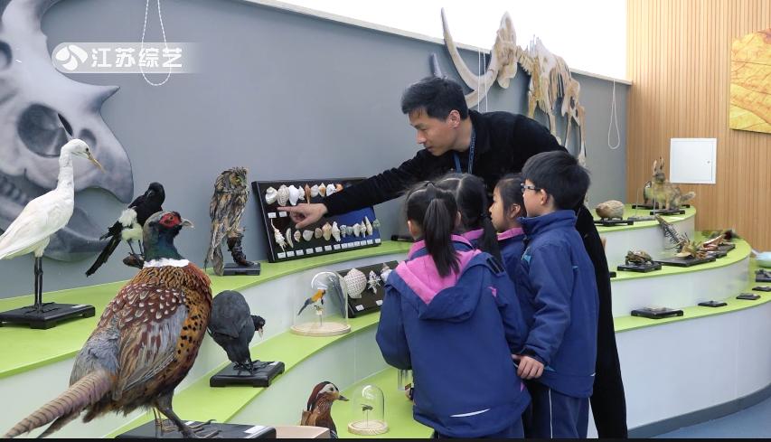 江苏城市频道江苏直通车-苏州吴中区华东师范大学苏州湾实验小学