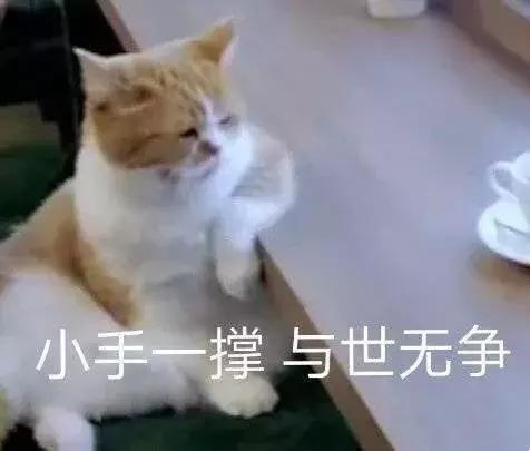 天猫官方旗舰店会不会真假掺卖,天猫旗舰店漏洞是真的吗
