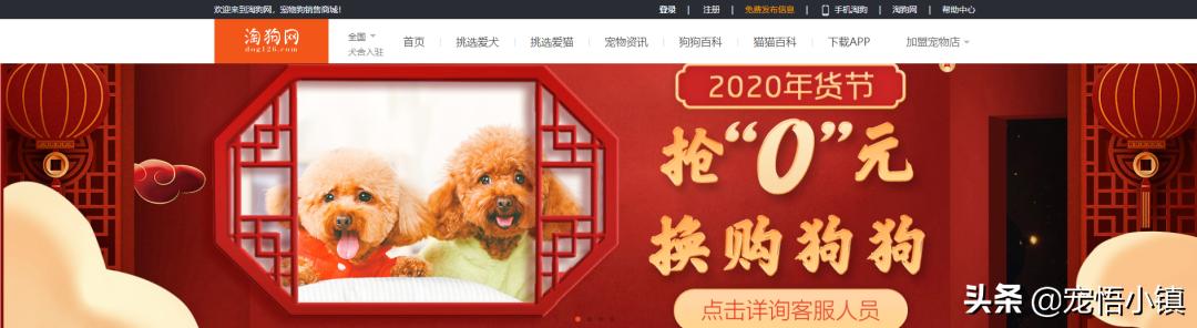 国外最热门宠物网站排名榜,宠物网站排行榜前十名