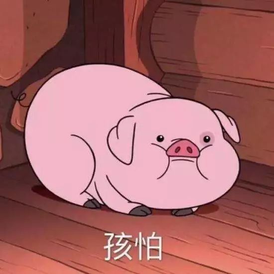 最好的教育片推荐,最好的性教育动画片