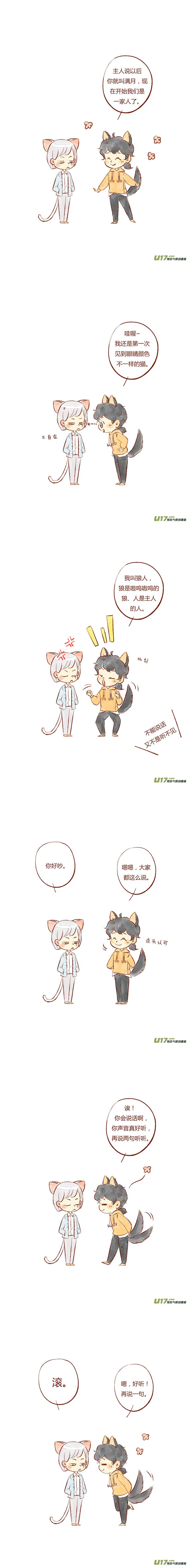 一只可爱流浪猫会怎么样,一只流浪猫把一只宠物猫给拐走了