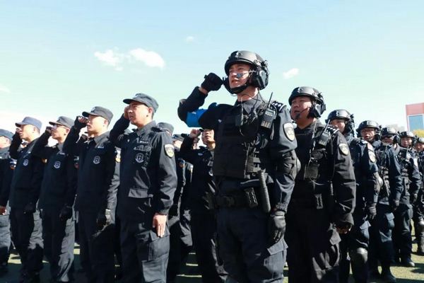 河北打掉涉黑团伙,河北打掉涉黑涉恶犯罪团伙50个