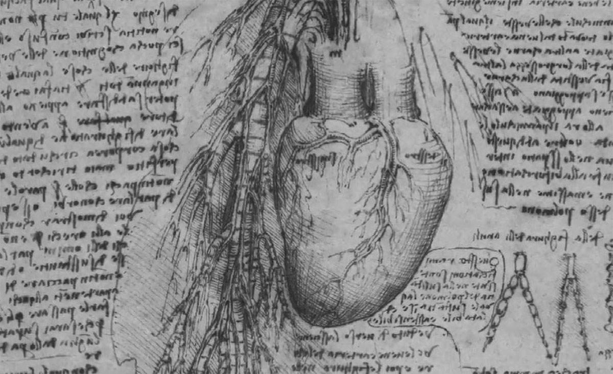 达芬奇密码被解开了吗,达芬奇密码2010