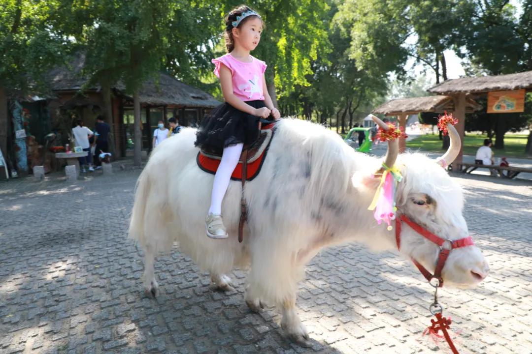 北京4月踏青的地方丰台区有哪些,丰台踏青好去处