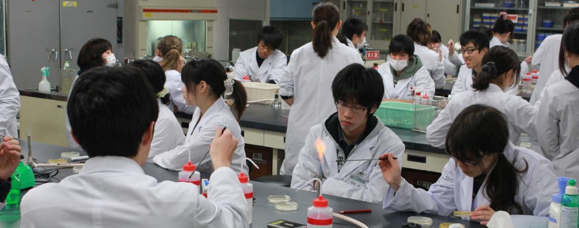 筑波大学sgu本科申请条件,筑波大学sgu面试通过率