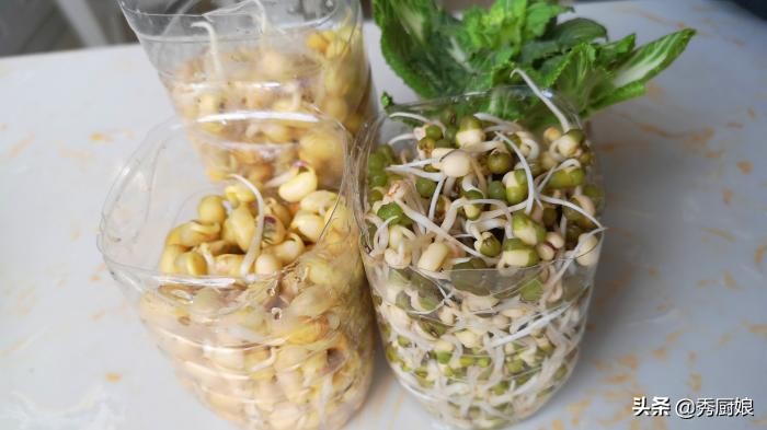 自己在家生豆芽三天就能吃,在家生绿豆豆芽