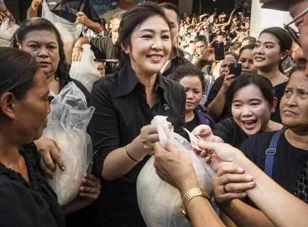 娉板浗杩涘彛涓浗澶х背,娉板浗澶х背鍑哄彛浠锋牸涓婃定