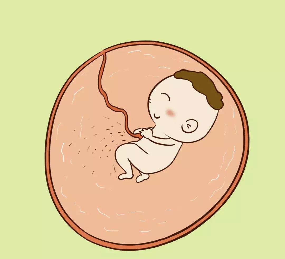 孕期缺乏微量元素查什么,孕妈的坏毛病会导致胎儿发育慢