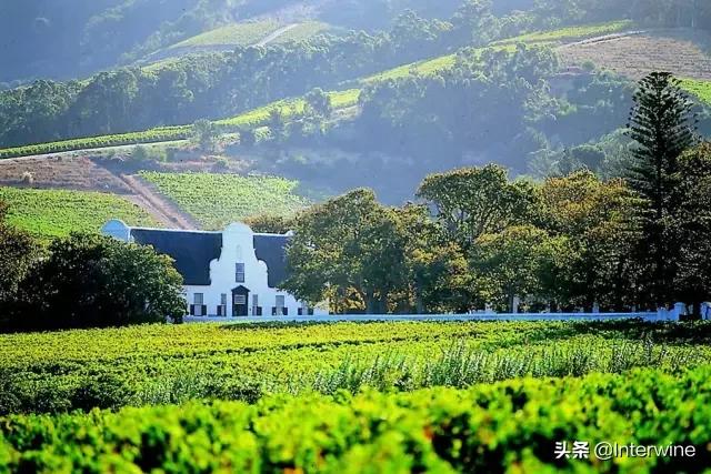 世界三大葡萄酒产区,世界上最有名的葡萄酒酿酒区