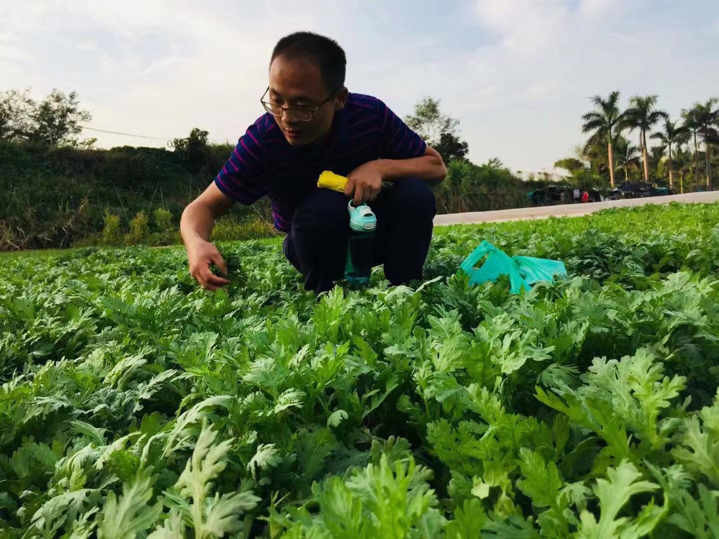 深圳石岩农场生态园攻略,深圳市石岩大树生态农场位置