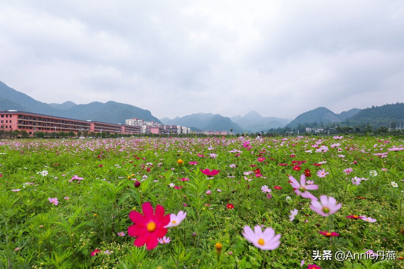 距离重庆最近的避暑城市,离主城近的夏日重庆避暑圣地