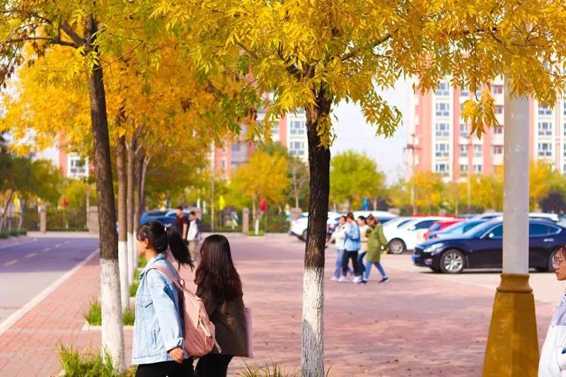 天津医科大学七所直属医院,天津医科大学独立学院是几本