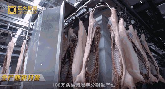 正大放心猪肉,正大猪肉品质