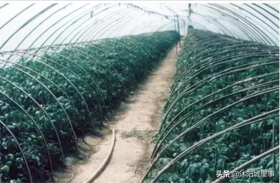 沭阳各镇的来历,沭阳各乡镇以前叫什么名字