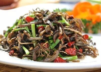 上山挖的野菜又美味又营养,大山里美味的野菜野生药材