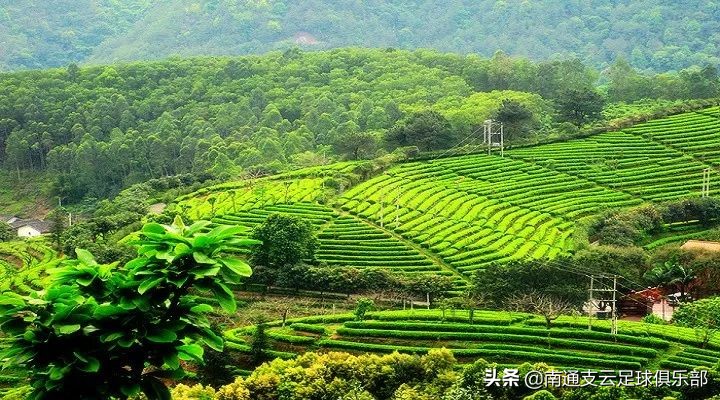 远征将士最强阵容攻略,远征最强阵容最新