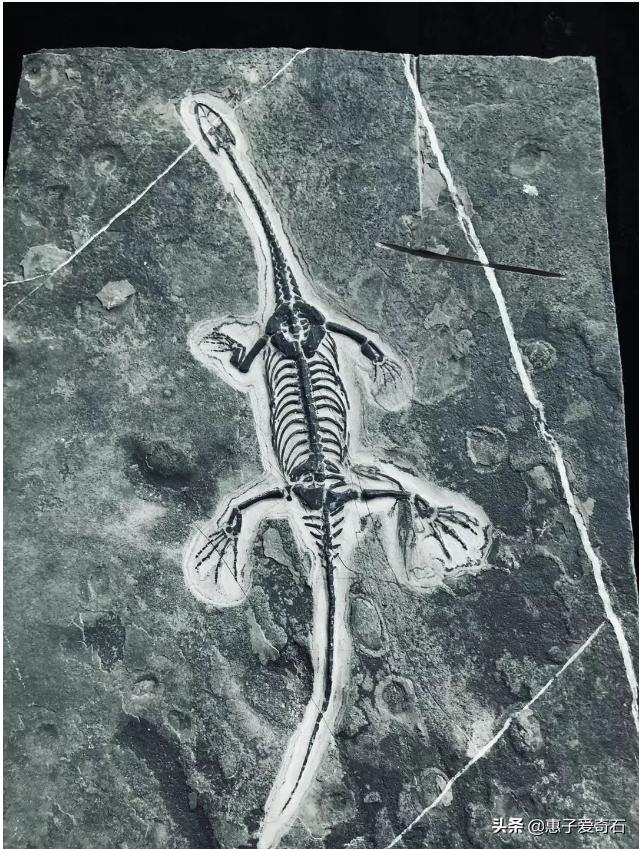 贵州石头奇石视频,贵州顶级的奇石大全