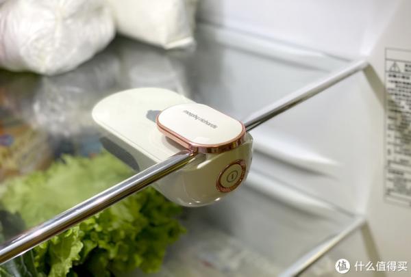 冰箱冷冻室除味的4个小妙招,冰箱负离子除菌和净味有什么区别