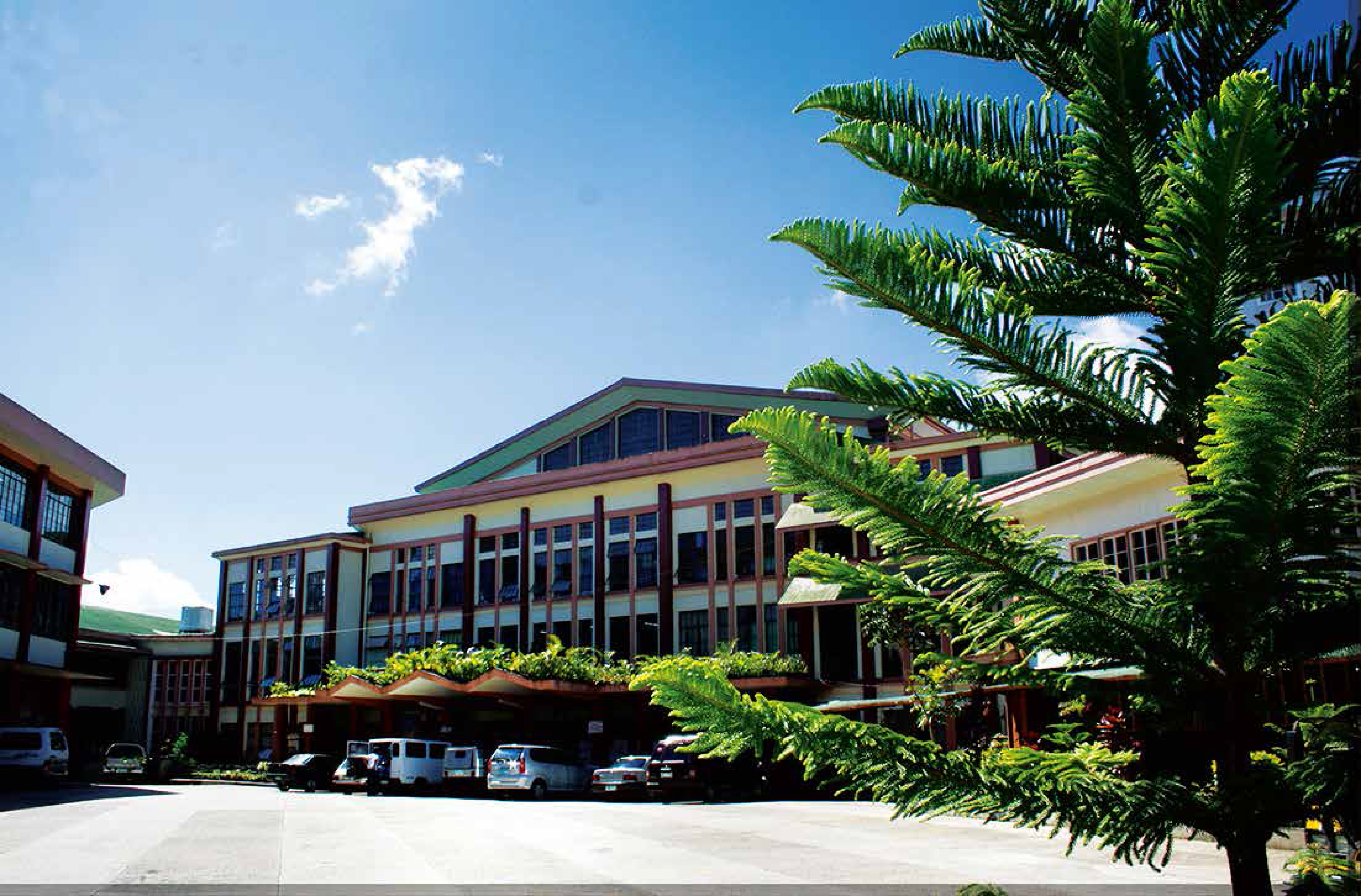 博士专业学位和学术学位的区别,教育博士专业学位