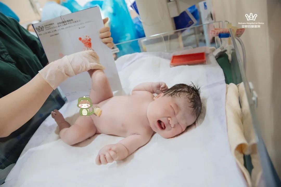 鐢熷瀛愭灂鍚庝綅椤轰骇,鐢熷瀛愰伃閬囪偐闅句骇