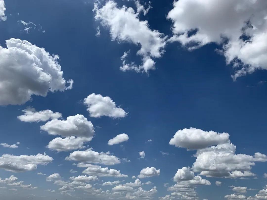 汉语教师志愿者王雨菲，长风几万里，吹我至巴西