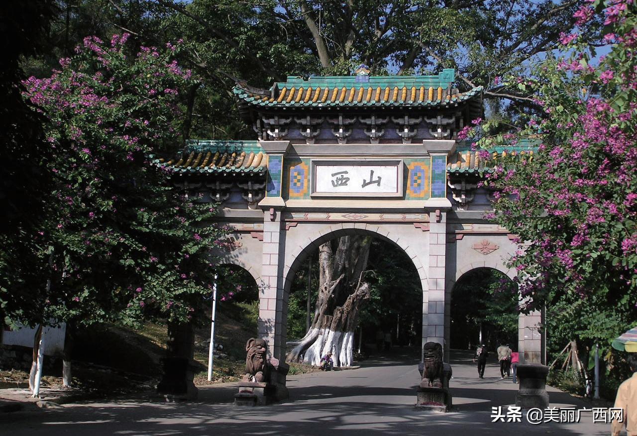 浔郁三城|桂平:值得为你骄傲