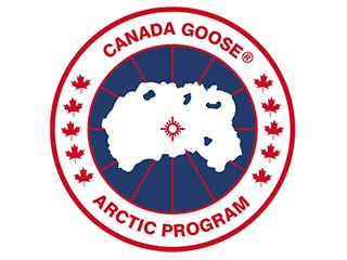 加拿大大鹅的名字来历 (加拿大鹅的由来)