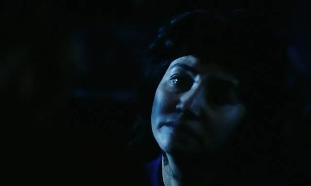 李冰冰警察电影老片子,李冰冰国产电影