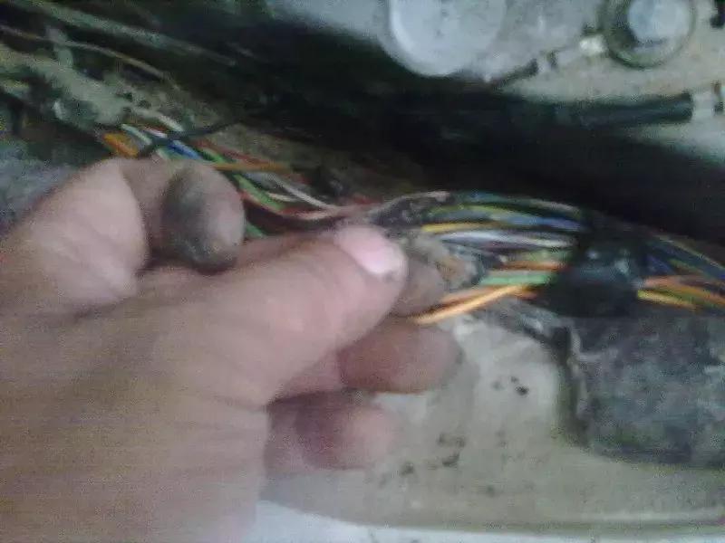 福克斯启动有蜂鸣声,福克斯无法启动故障