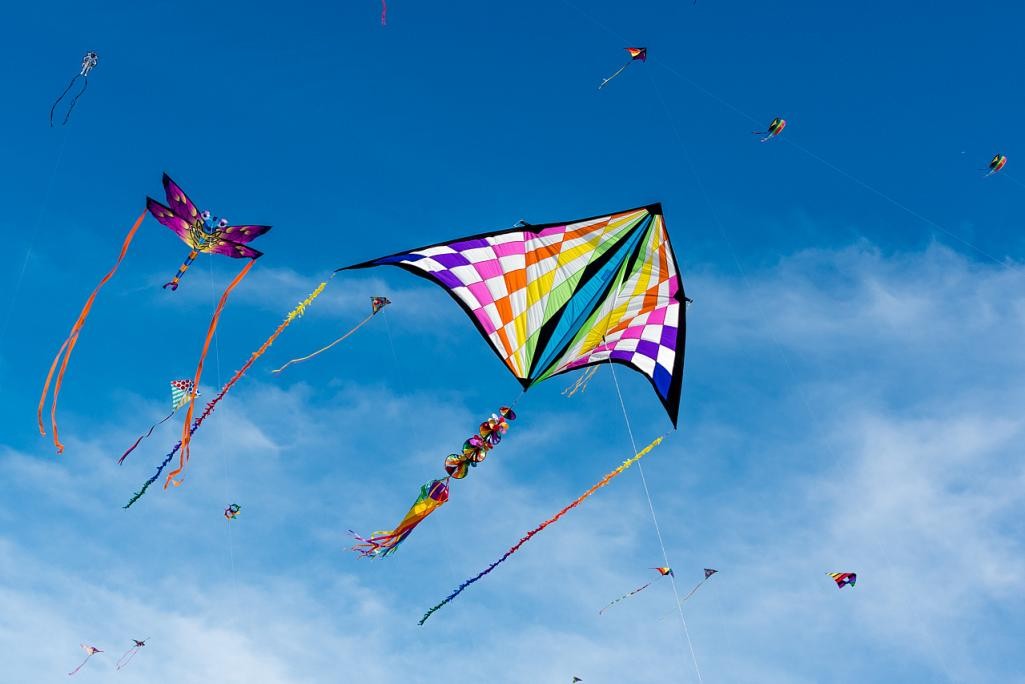 懒人成功的秘诀只有四个步骤,懒人成功的案例