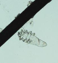 在看不见的地方下功夫,在看不见的地方讲究才是真讲究