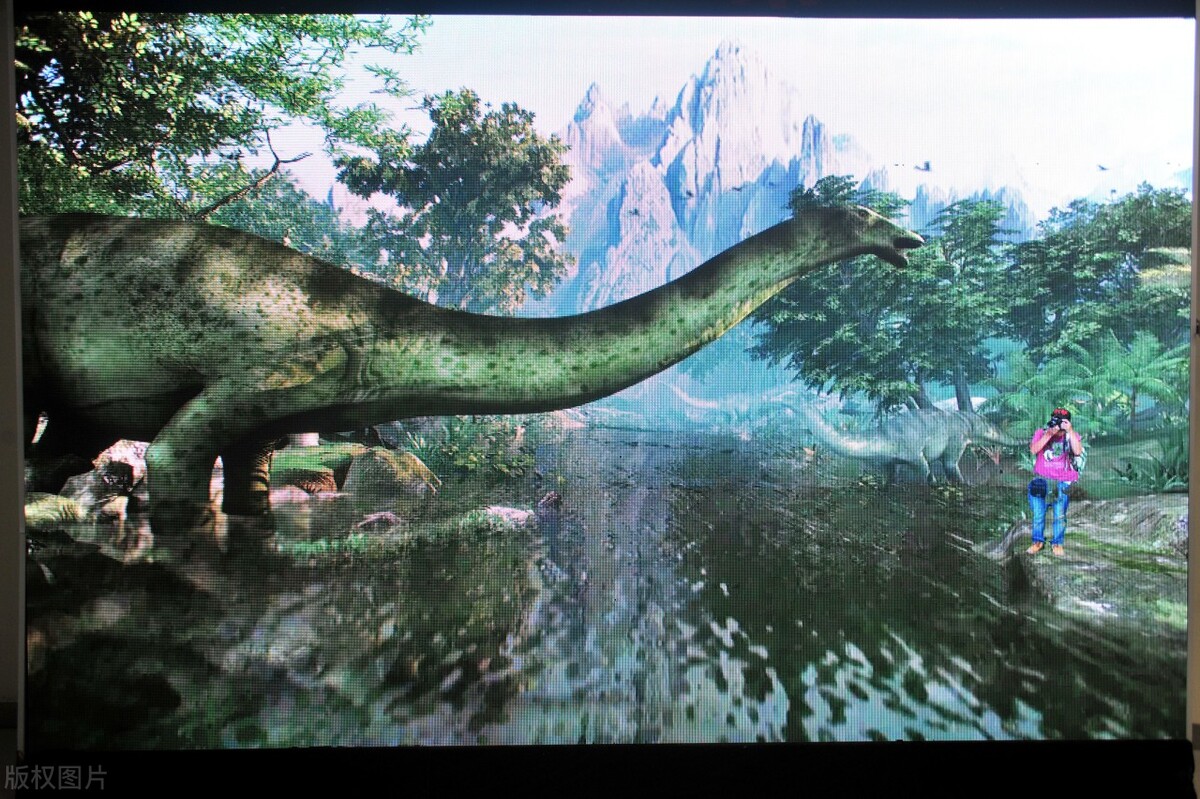 恐龙小知识书,恐龙探秘儿童恐龙百科全书