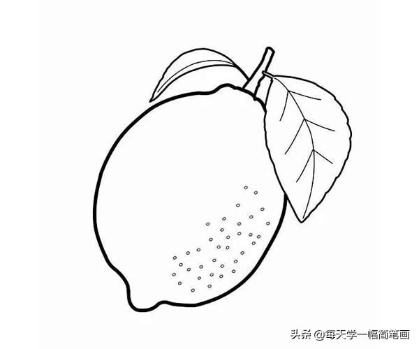 超简单水果简笔画初学者零基础,秋天成熟的水果有哪些简笔画