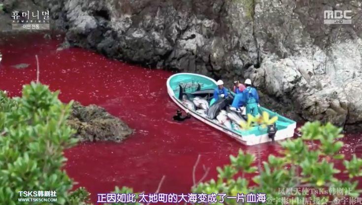 9.4分韩国催泪电视剧,韩国十部9.5评分催泪电影