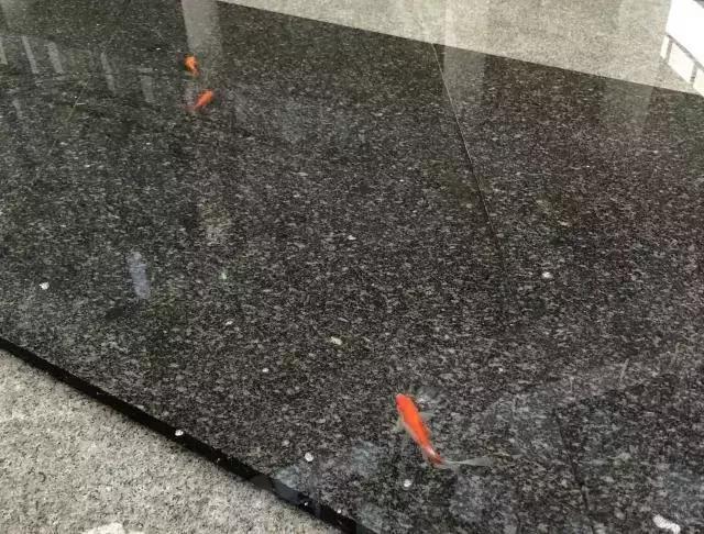 在网易实习的一个月,网易实习过后好找工作吗