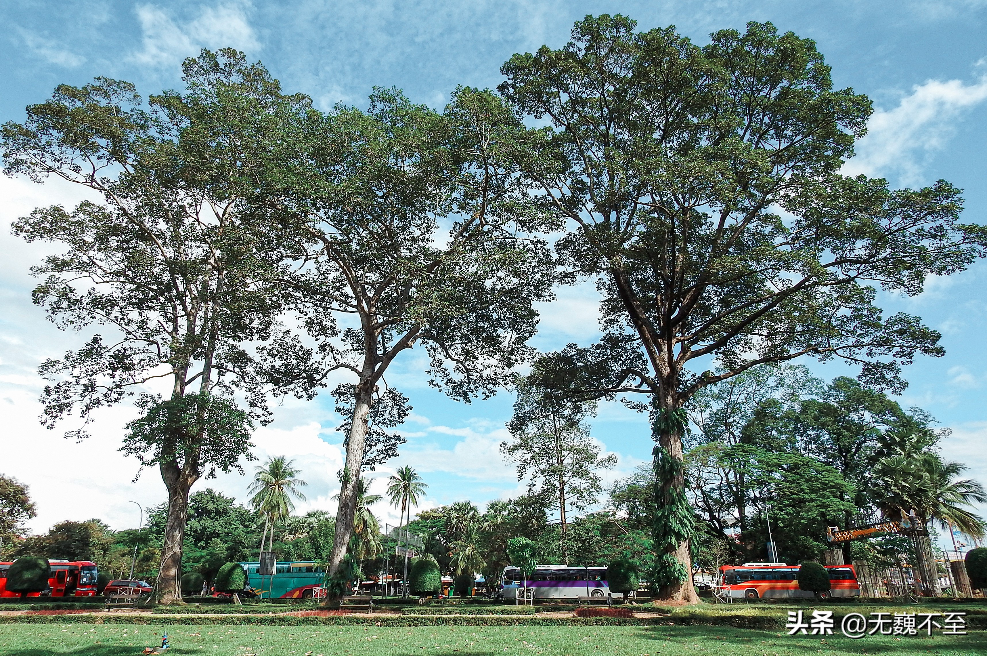 一分钟了解柬埔寨吴哥,柬埔寨神秘的吴哥王朝