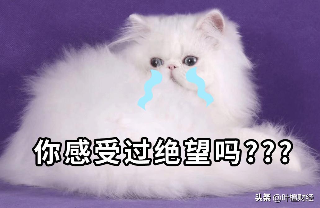 数学家炒股赚钱,数学家炒股赔钱的故事