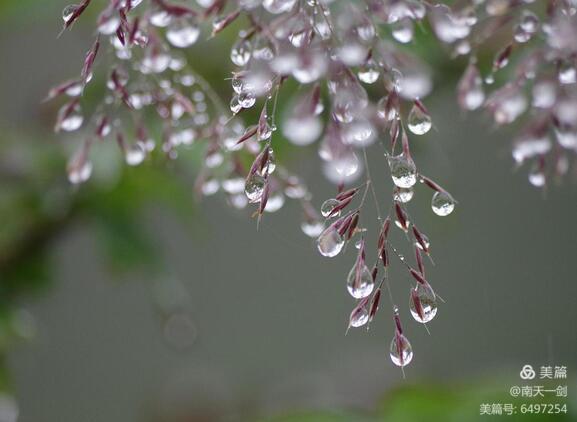 霜降粤语版,霜降粤语歌曲