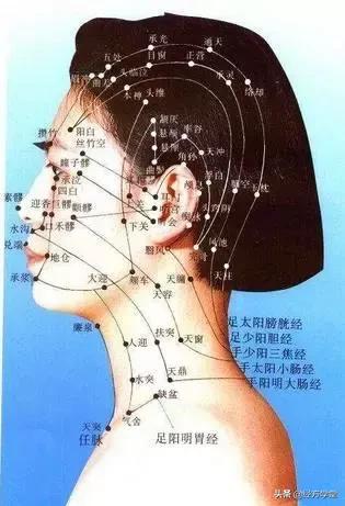 中医是一门什么科学,最全面的中医专业