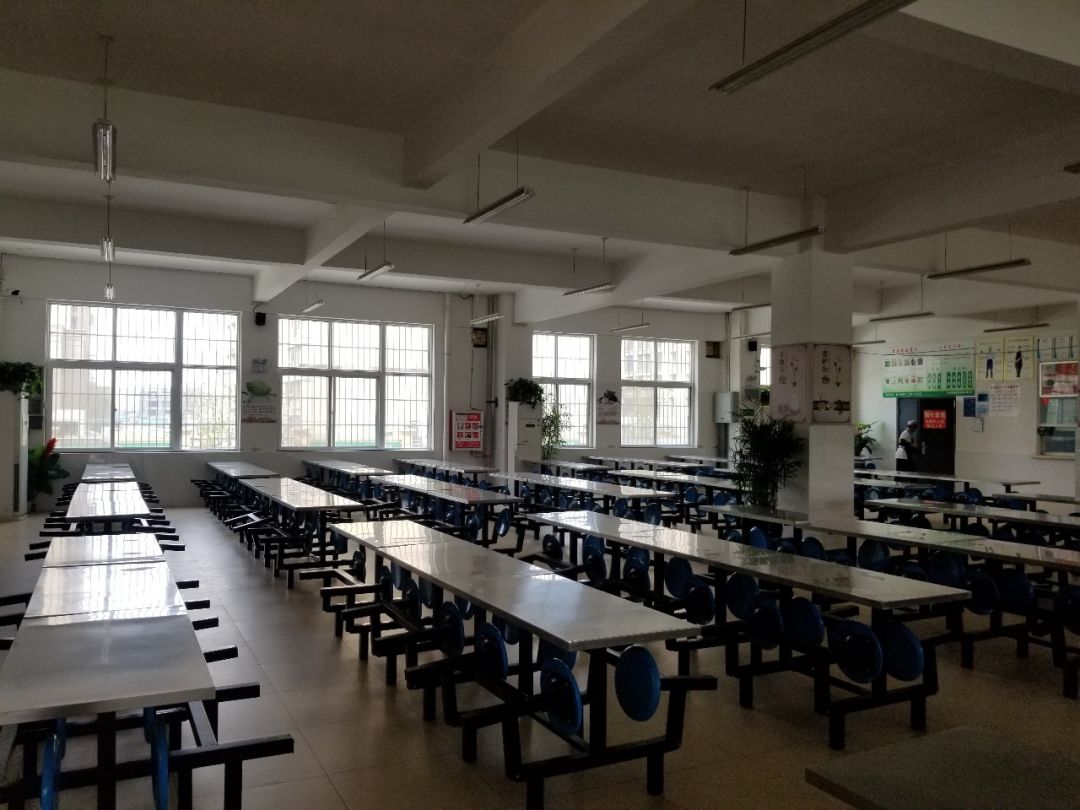 2021年小升初郑州公办初中,19年郑州小升初民办学校招收比例