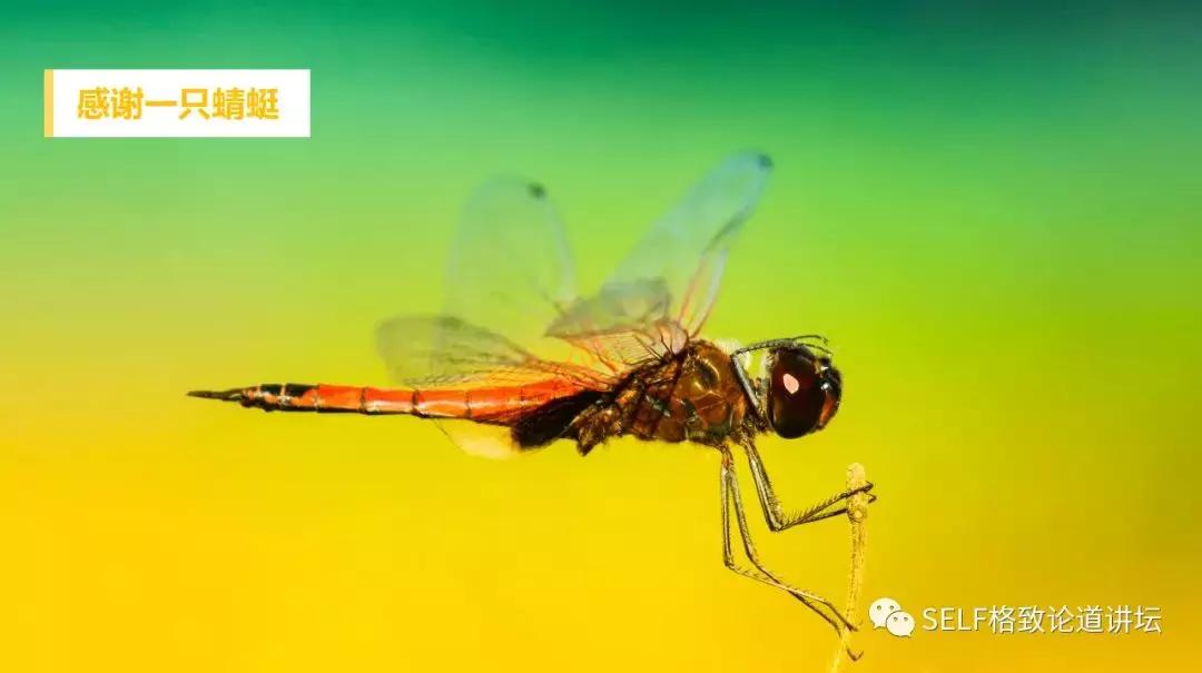 我国激光技术有多强,目前最先进的激光