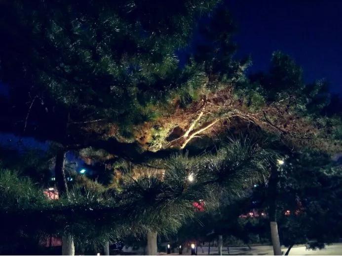 辽宁大学和鲁迅美术学院,辽宁省鲁迅美术学院是985吗