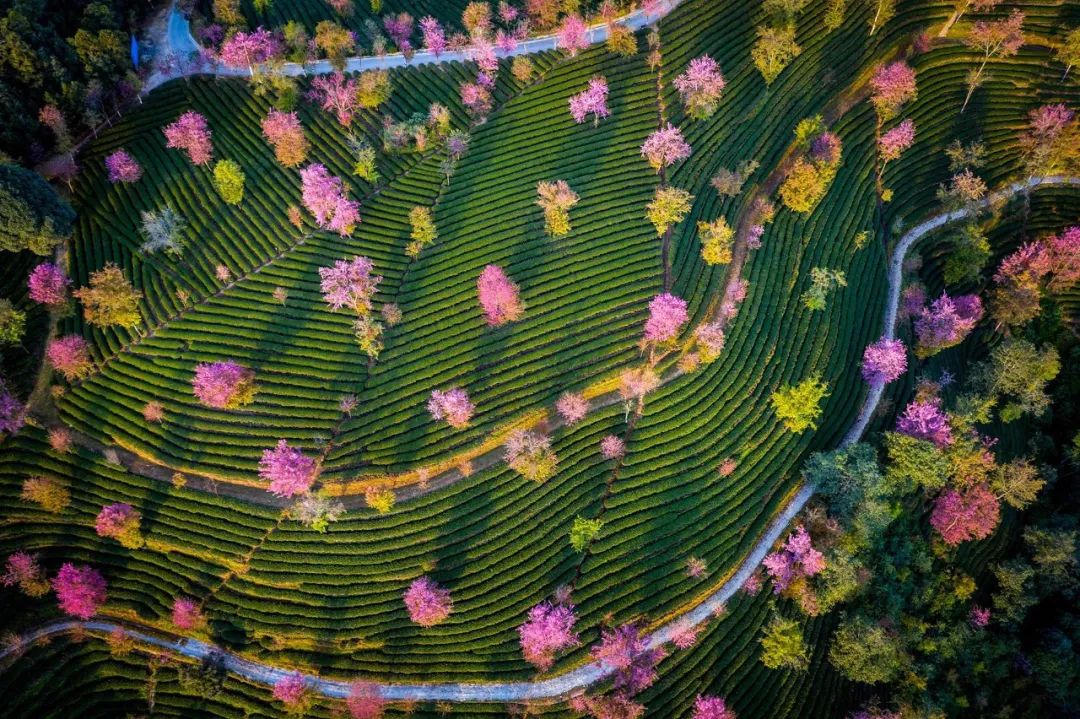 12月想要什么,12月的冬日暖阳岁月如此静好