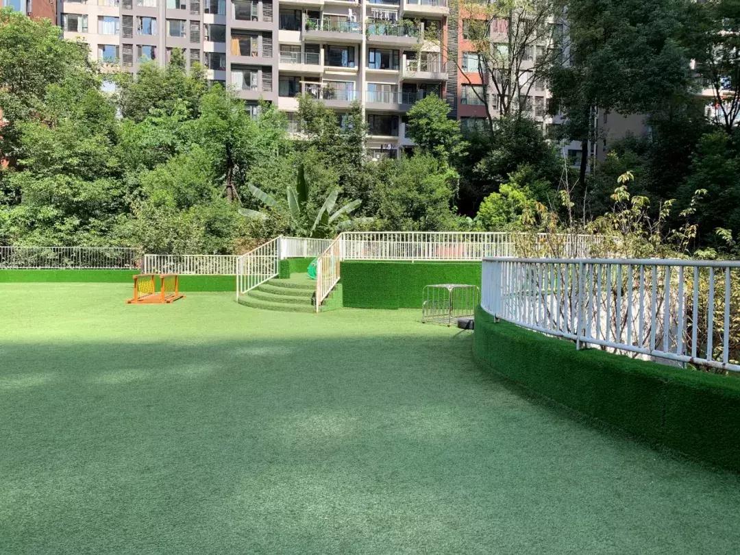 考察蒙氏幼儿园需要了解什么,蒙氏幼儿园东北探园