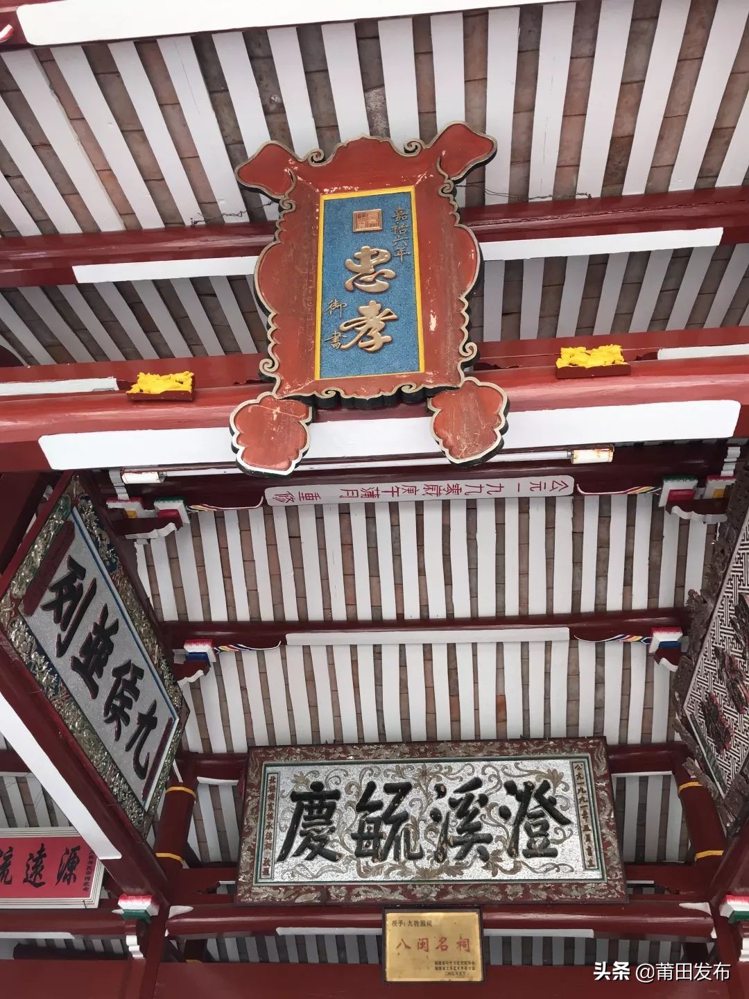 莆田林氏祭祖大典直播,林氏宗亲莆田会议